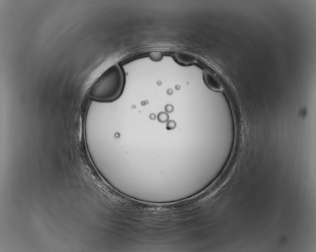 X0000116331317200912151256