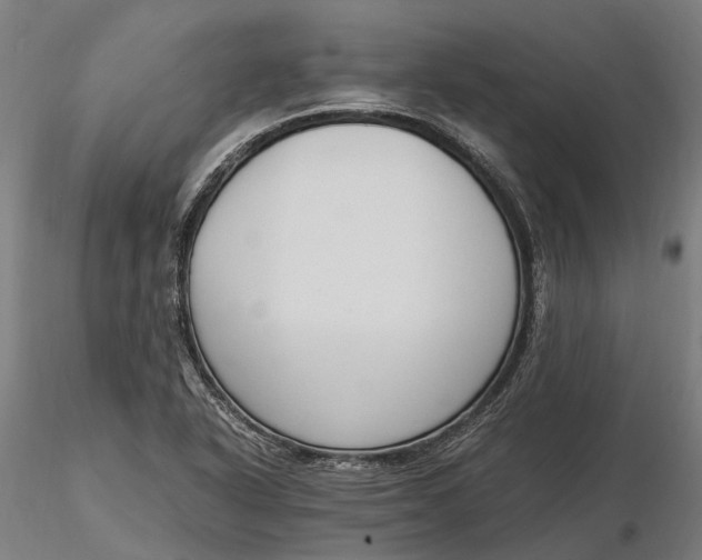 X0000116331318200912151256
