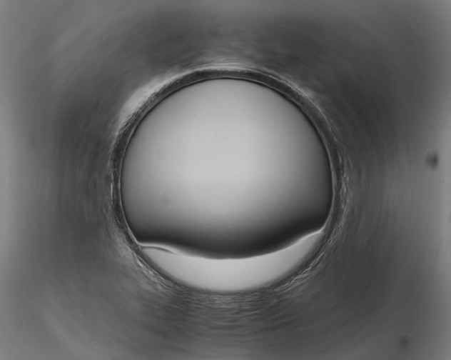 X0000116331319200912151256