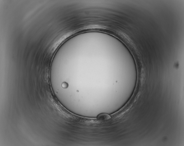 X0000116331321200912151256