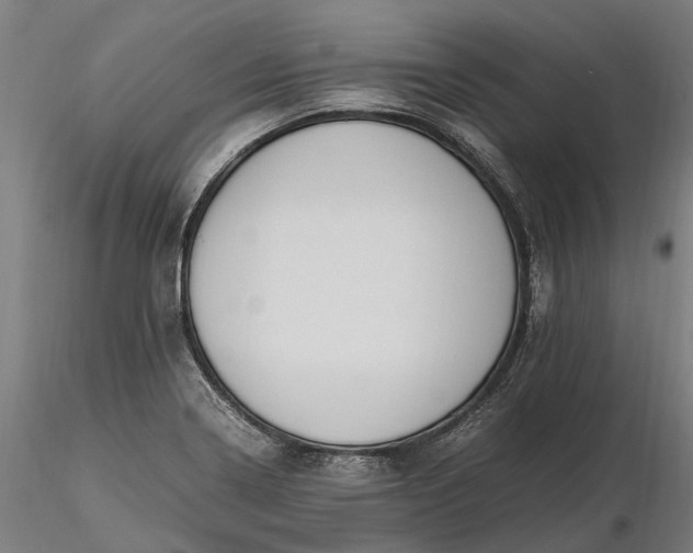 X0000116331322200912151256