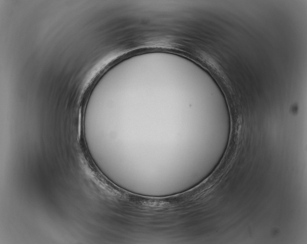 X0000116331323200912151256