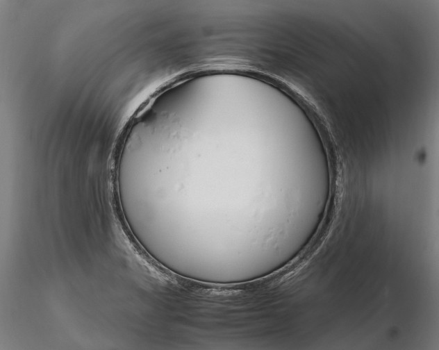 X0000116331325200912151256