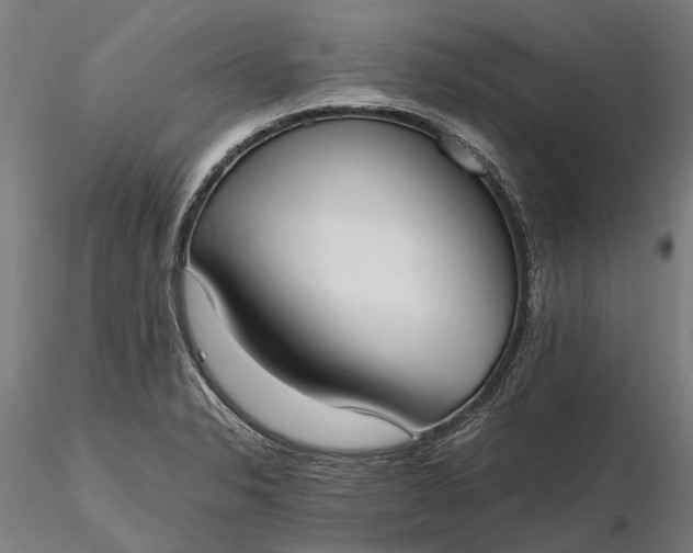 X0000116331326200912151256