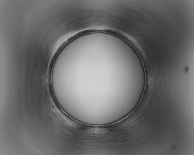 X0000116331327200912151256