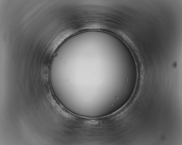 X0000116331329200912151256