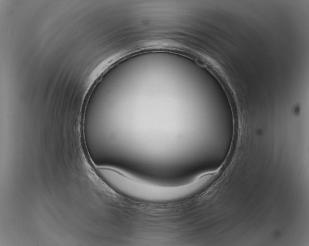 X0000116331330200912151257