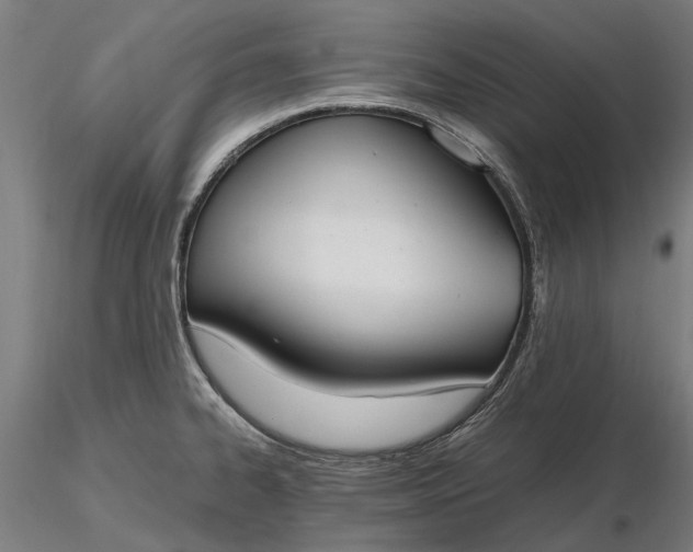 X0000116331334200912151257