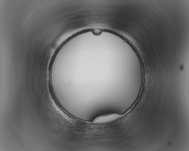 X0000116331335200912151257