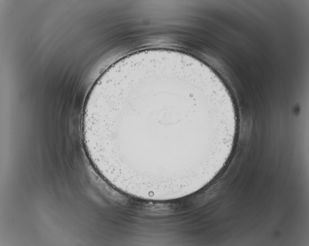 X0000116331338200912151257