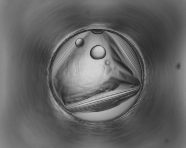 X0000116331341200912151257