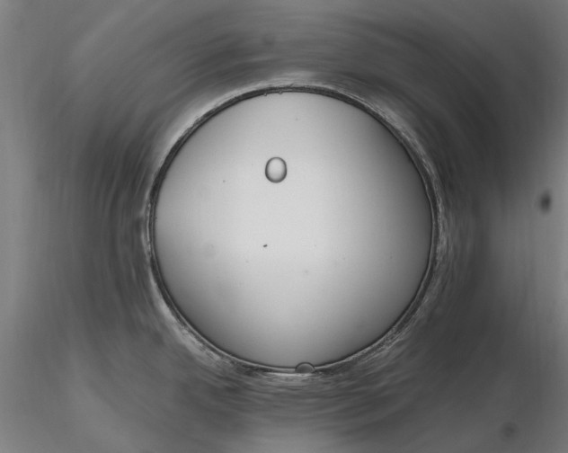 X0000116331342200912151257