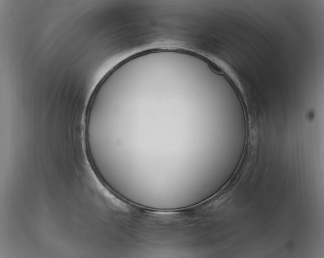 X0000116331343200912151257