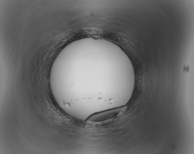 X0000116331345200912151256