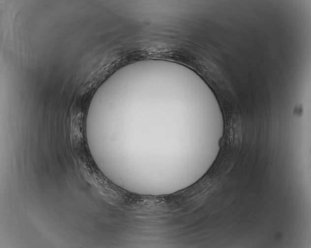 X0000116331346200912151256