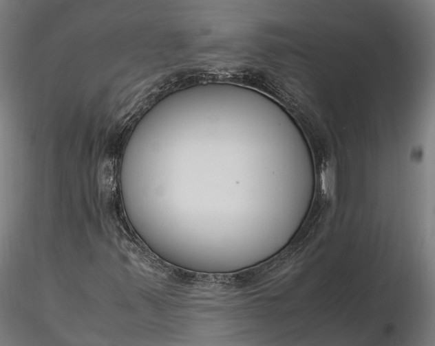 X0000116331347200912151256