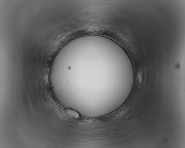 X0000116331348200912151256