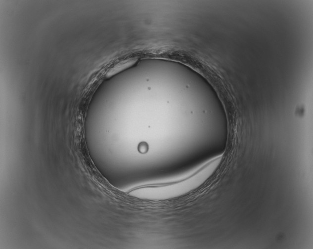 X0000116331349200912151256