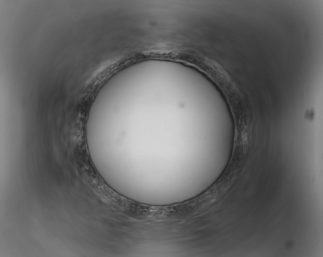 X0000116331350200912151256