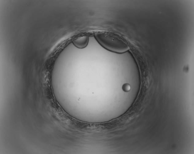X0000116331351200912151256