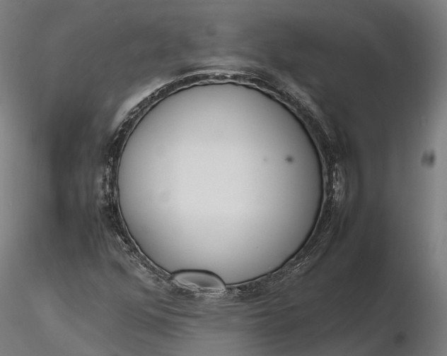 X0000116331352200912151256