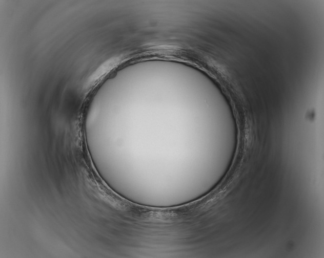 X0000116331354200912151256