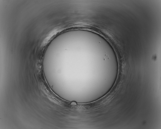 X0000116331355200912151256
