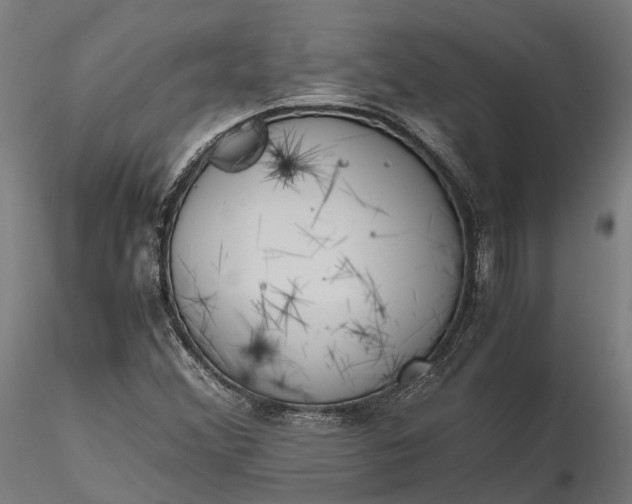 X0000116331356200912151256