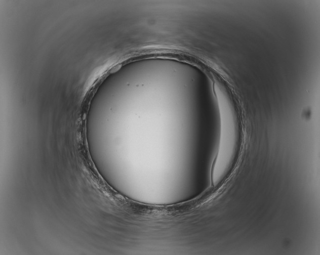 X0000116331357200912151256