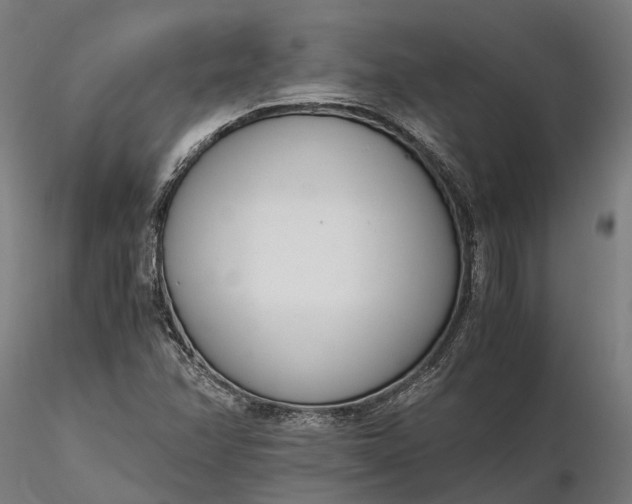 X0000116331358200912151256