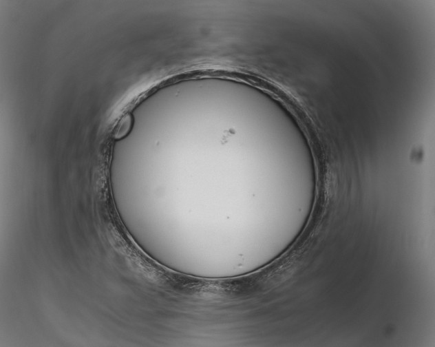 X0000116331359200912151256