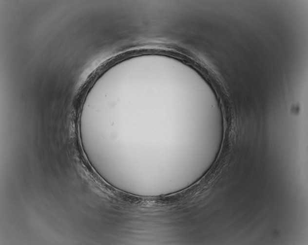 X0000116331360200912151256