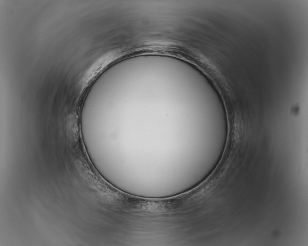 X0000116331362200912151256