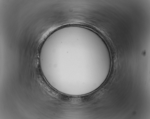 X0000116331363200912151256
