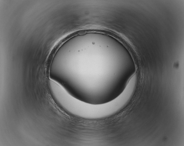 X0000116331364200912151256