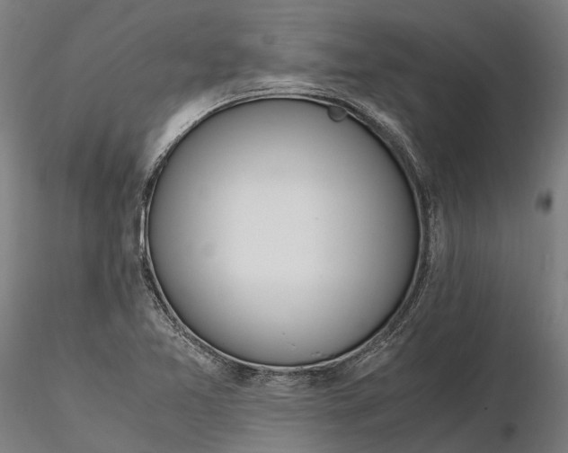 X0000116331365200912151256