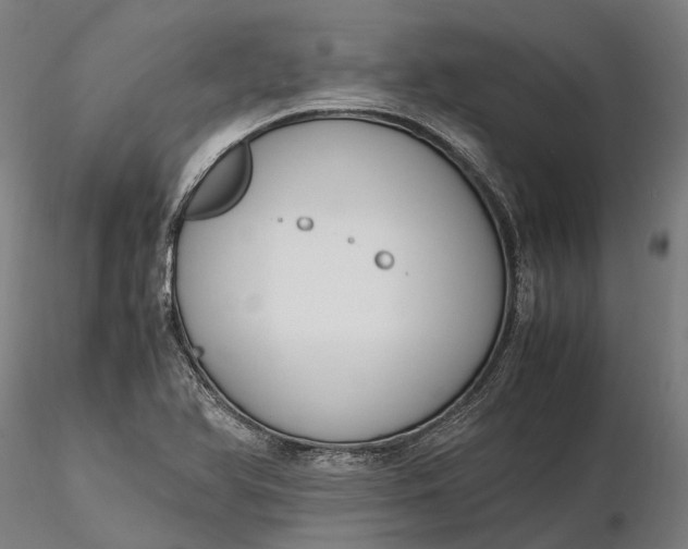 X0000116331366200912151256