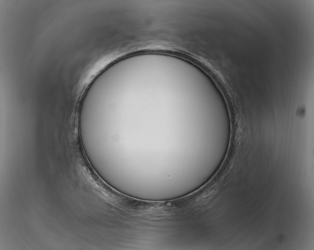 X0000116331367200912151256