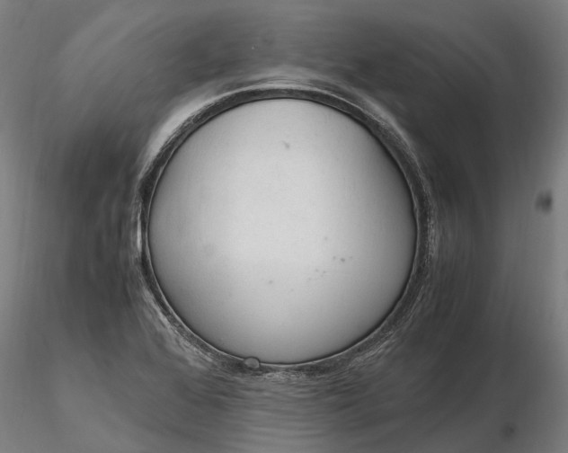 X0000116331368200912151256