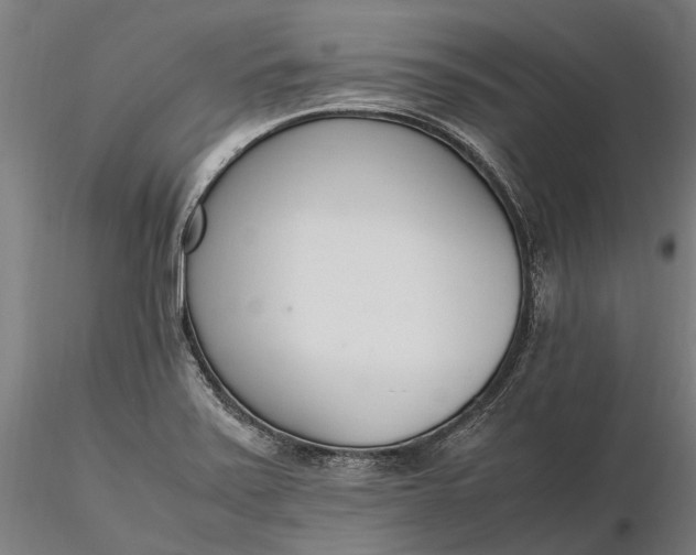 X0000116331371200912151256
