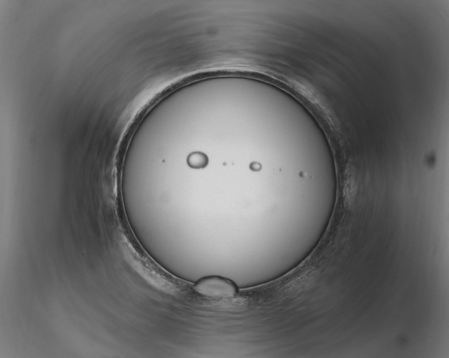 X0000116331372200912151256