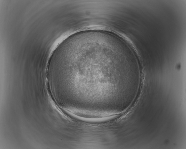 X0000116331373200912151256