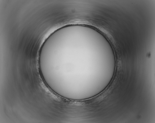 X0000116331374200912151256