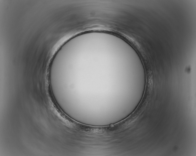 X0000116331375200912151256