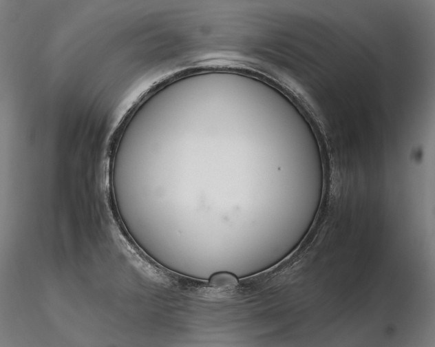 X0000116331376200912151256