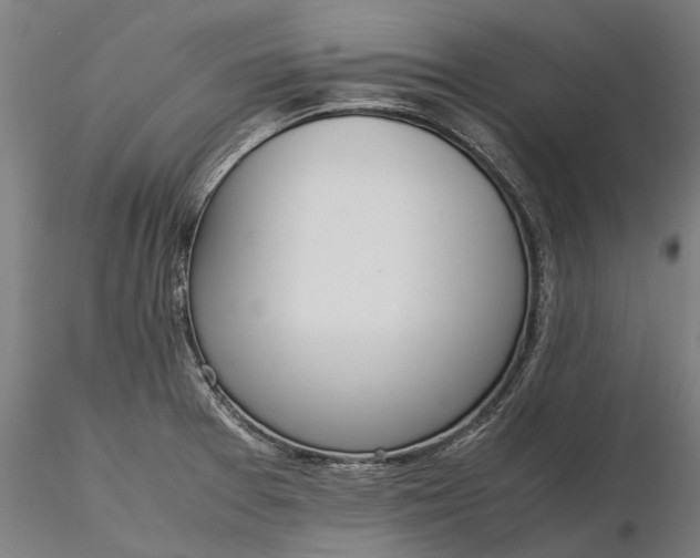 X0000116331377200912151256