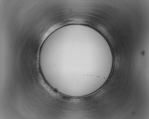 X0000116331378200912151256