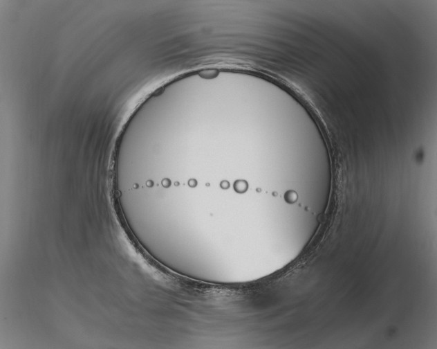 X0000116331379200912151256