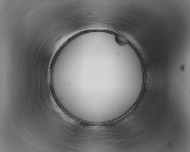 X0000116331380200912151256