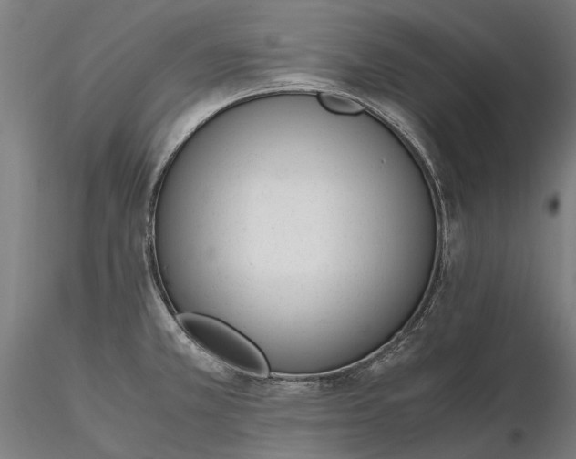 X0000116331381200912151256